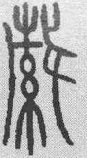 织,金文 ,書法字典